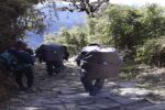our porters inca trail hike to machupicchu 4d